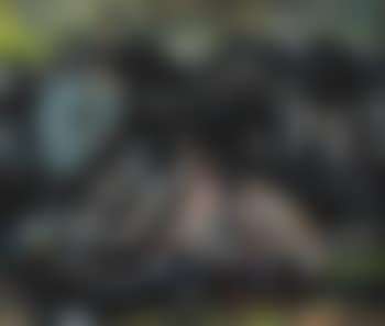 Dorfansicht mit Bauern (preview)