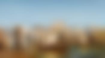Pont d'Avignon avec Palais des Papes (preview)