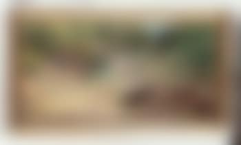 Paesaggio con ponte (preview)
