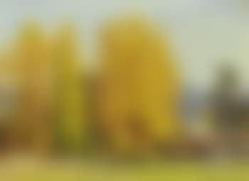 Landscape with Poplars (preview)