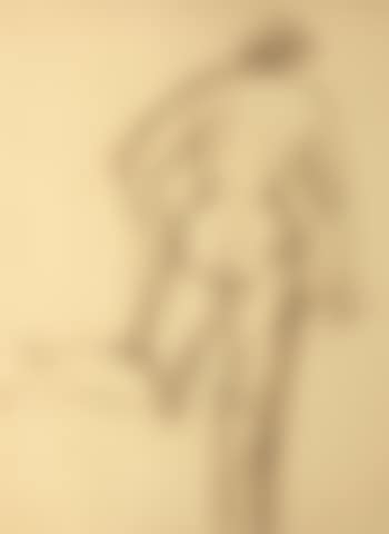 Femme nue de dos (preview)