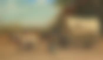 Cotton Wagon (preview)
