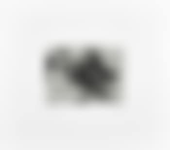Untitled From Harvey Gantt Portfolio (preview)