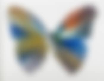 Butterfly Spin Painting (Created At Damien Hirst Spin Workshop) (preview)
