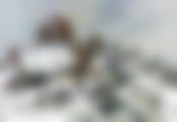 Six farmers with their sheep dogs on a snowy Glyder Fach (preview)