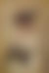 Bildnis Else Schiffer (preview)