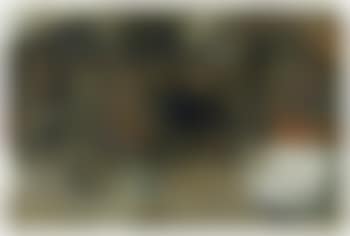 Tauromaquia X (preview)