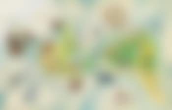 Animals of The Americas (preview)