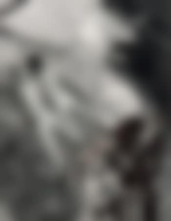 Favorisant le flirt (preview)
