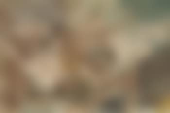 Cuina Mallorquina (preview)