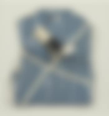 Ensemble bleu (preview)