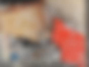 Il cavallo sul muro (preview)