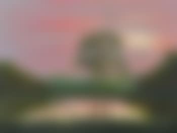 Florida Highwayman Landscape Sunset with Birds (preview)
