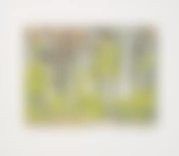 Forest Edge (preview)