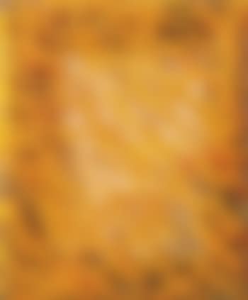 Segni arancio (preview)
