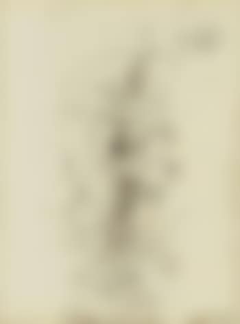 Composition (preview)
