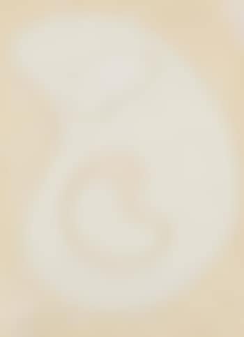 Composition de formes (preview)
