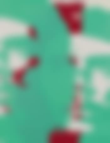 Guevara + Che (preview)