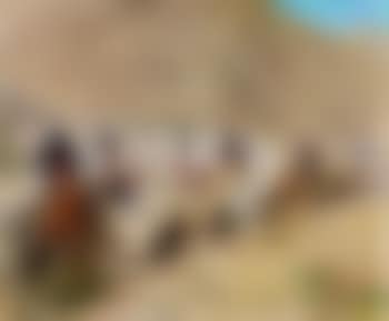 La halte de la caravane (preview)