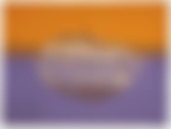 White Visa (Visa Series) (preview)