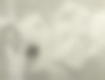 Composition (preview)