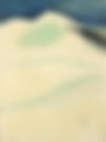 Lapin dans les dunes (preview)