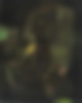 Untitled (preview)