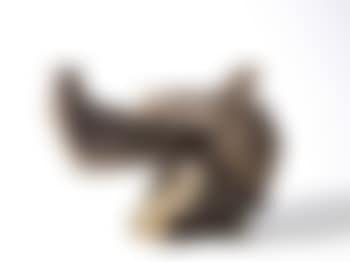 Taichi Series (preview)