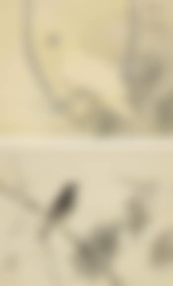 Parrot; & Crow (preview)
