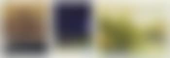 Untitled; Untitled; & Untitled (preview)