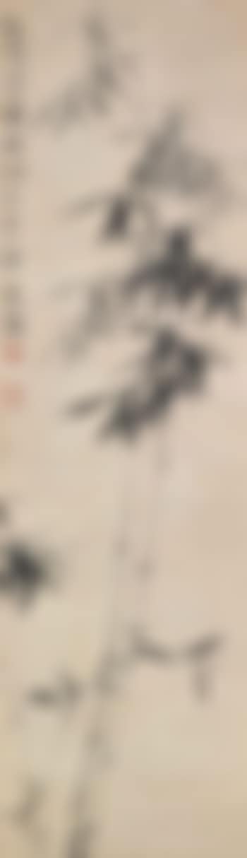 Bamboo (preview)