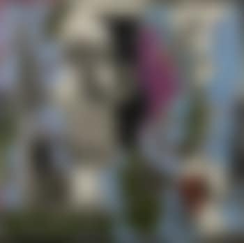 Pichet sur un entablement fleuri (preview)