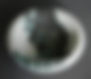 Bird with worm (preview)