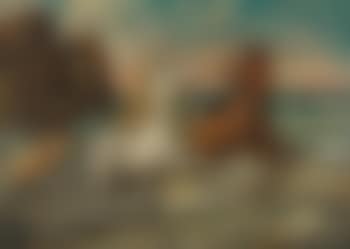 Cavalli in riva al mare (preview)