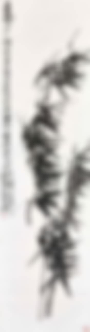 Bamboo (preview)