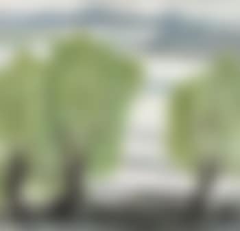 Willow (preview)