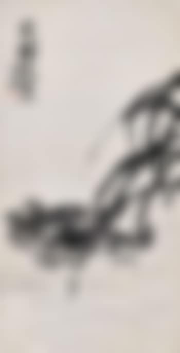 Mandarin Ducks (preview)