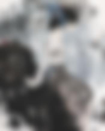 Maiden (preview)
