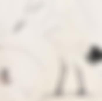 Egret (preview)