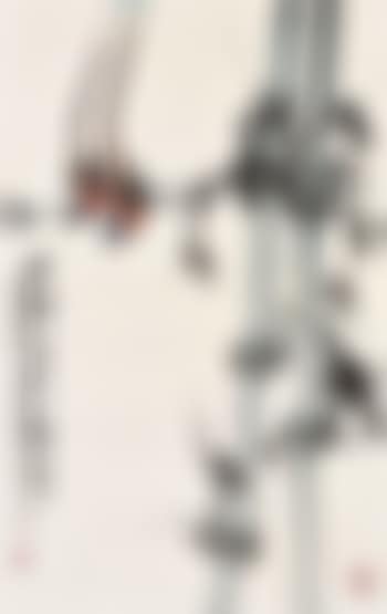 Calling Birds on Bamboo (preview)