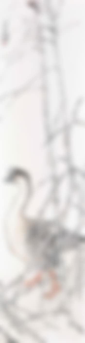 Goose (preview)