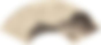 Landscape (preview)