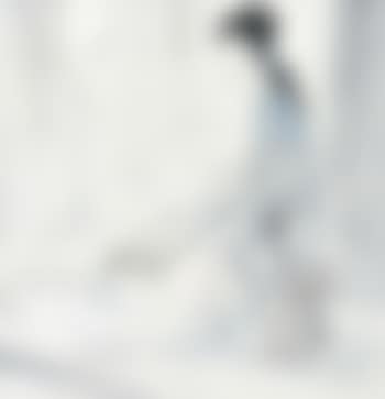 Lady Playing Qin (preview)