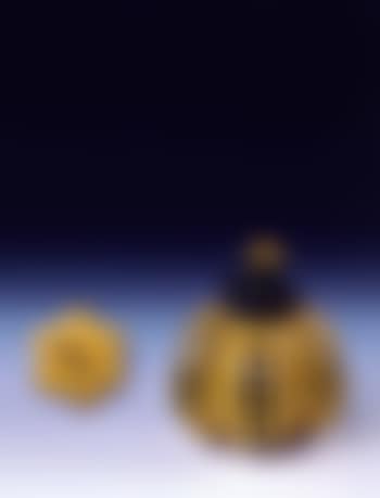 Pumpkin 南瓜 (preview)