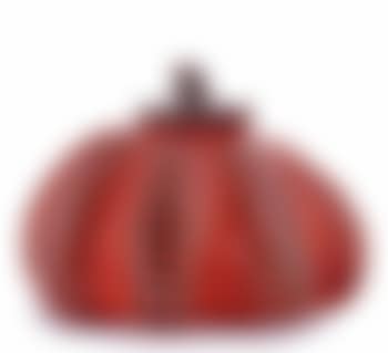 Pumpkin 紅南瓜 (preview)