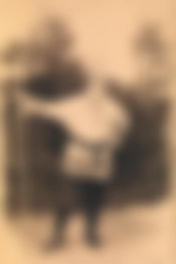 Portrait of Vladimir Stasov (preview)