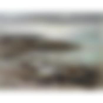 The Sea at Benham (preview)