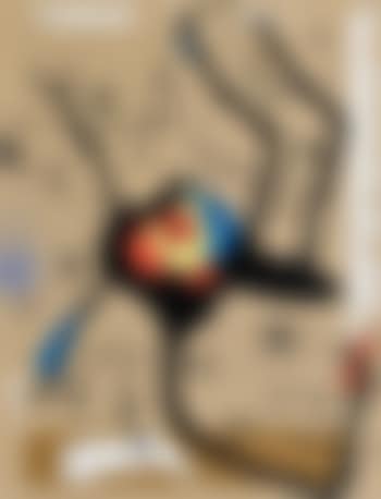 Femme Encerclée D'oiseaux (preview)