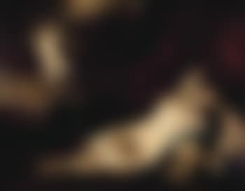 Jupiter and Antiope (preview)