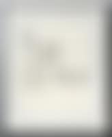 [Untitled] (preview)